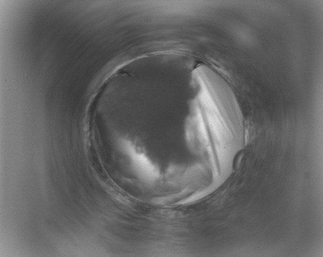 X0000071760339200607220015