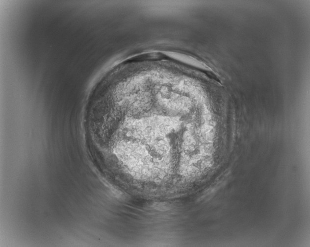 X0000071760341200607220015