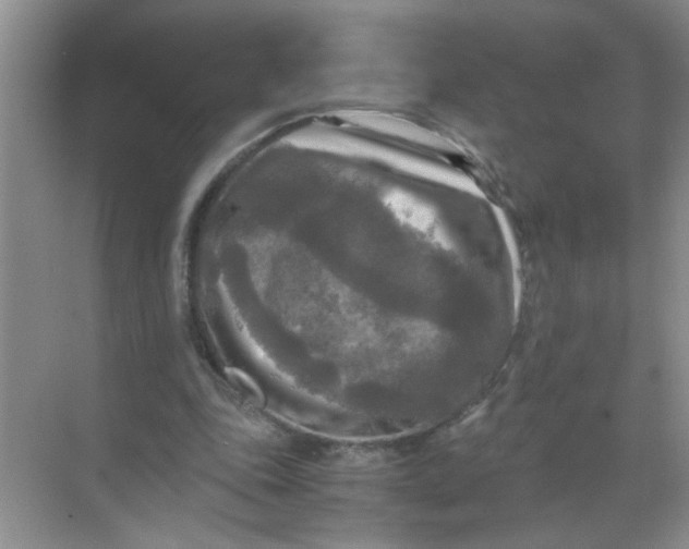 X0000071760343200607220015