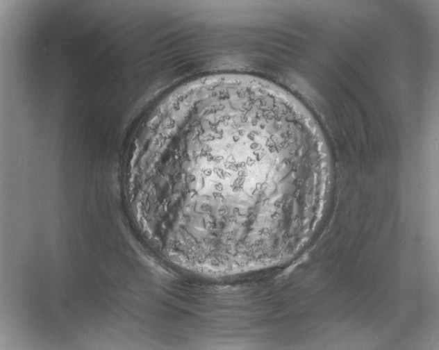 X0000071760345200607220015