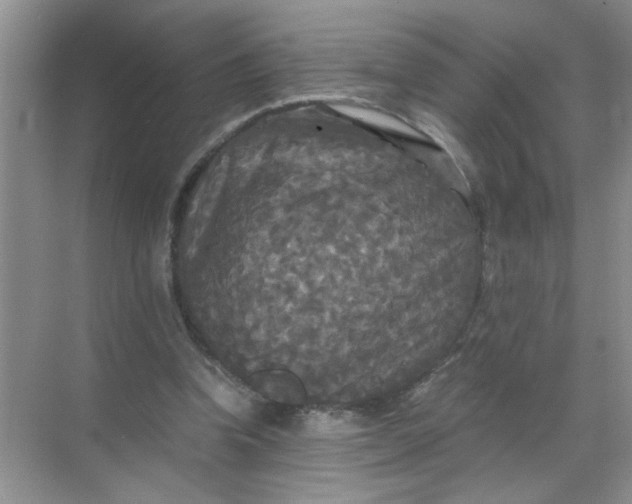 X0000071760346200607220015