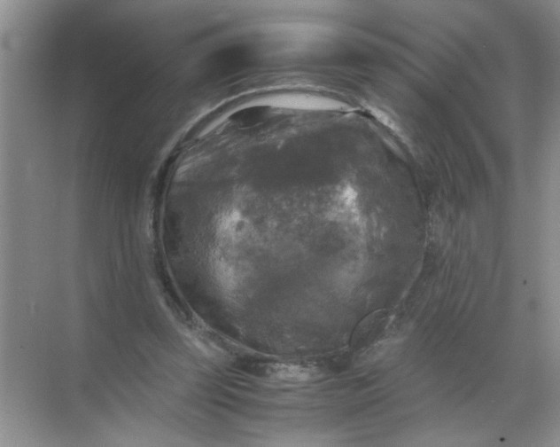 X0000071760347200607220015