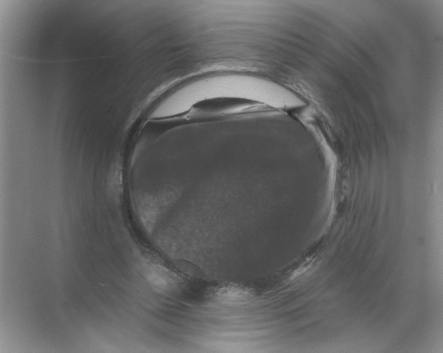 X0000071760348200607220015