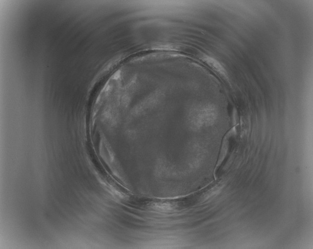 X0000071760349200607220015