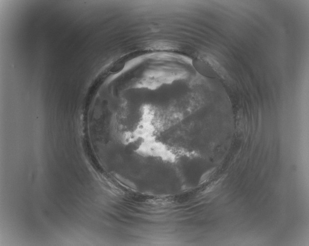 X0000071760351200607220015