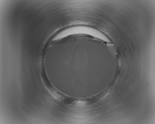 X0000071760352200607220015