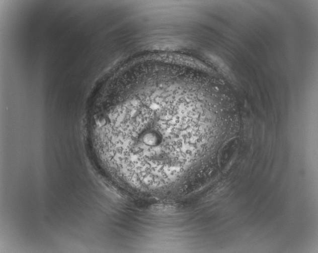 X0000071760354200607220015