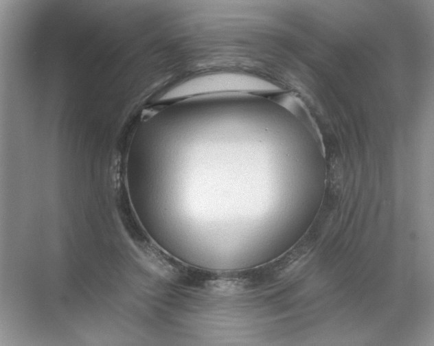 X0000071760356200607220015