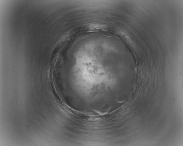 X0000071760357200607220015