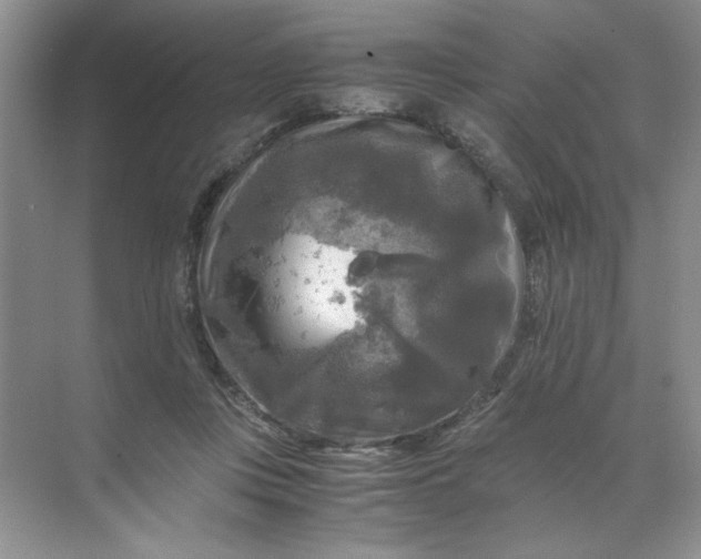 X0000071760359200607220016