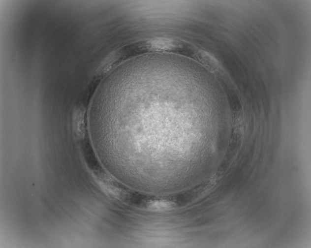 X0000071760360200607220016