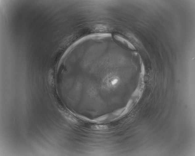 X0000071760361200607220016