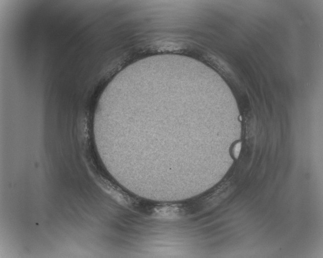 X0000071760362200607220016