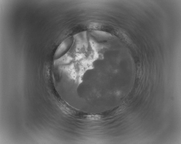 X0000071760363200607220016