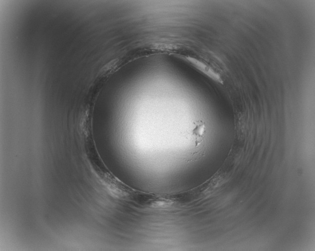 X0000071760364200607220016