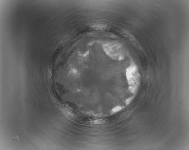 X0000071760365200607220016