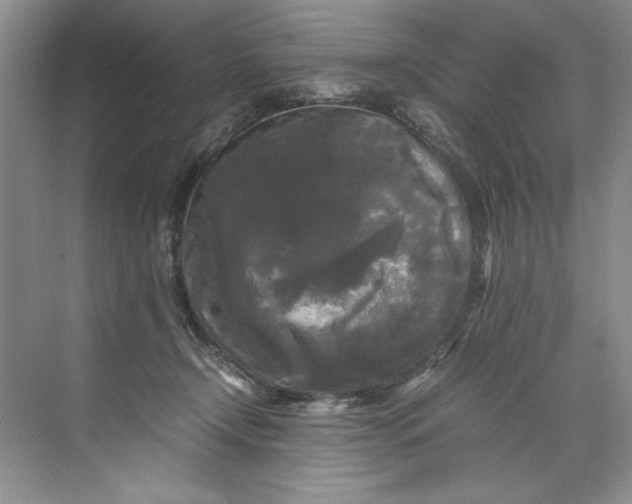 X0000071760366200607220016