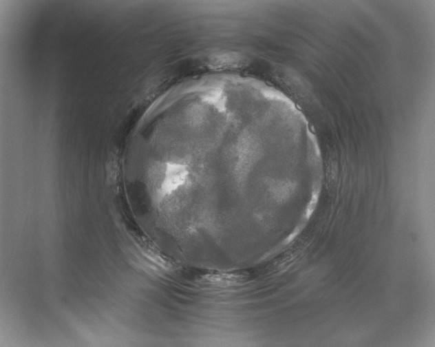 X0000071760367200607220016