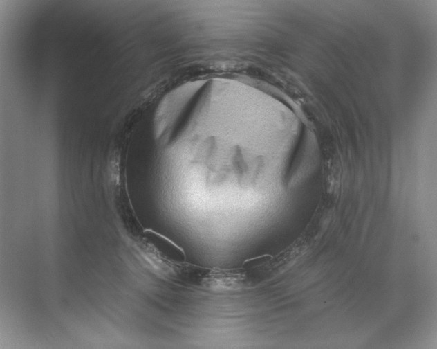 X0000071760368200607220016