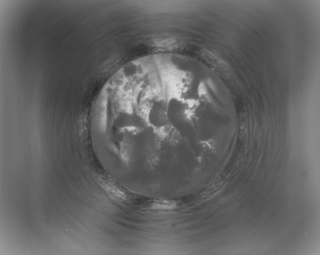 X0000071760369200607220016