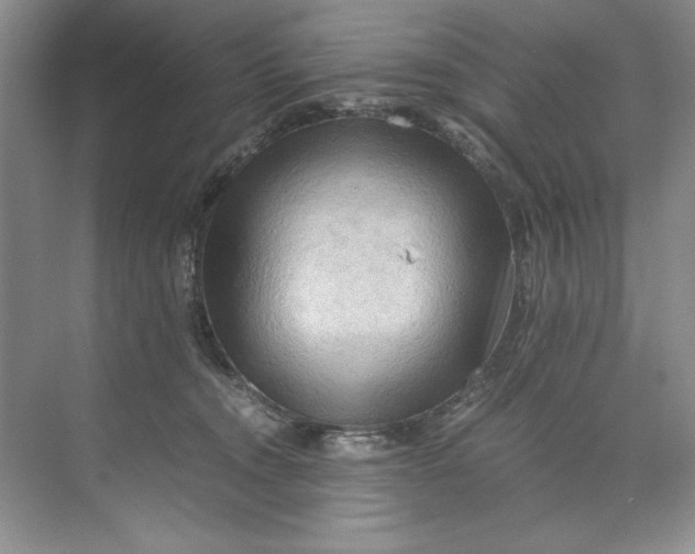 X0000071760372200607220016