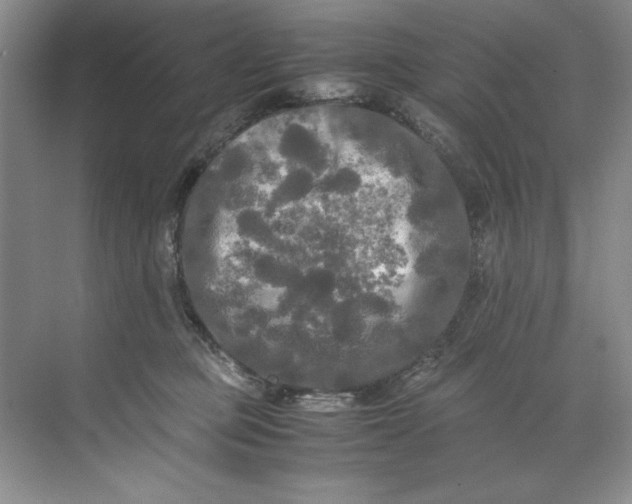 X0000071760373200607220016