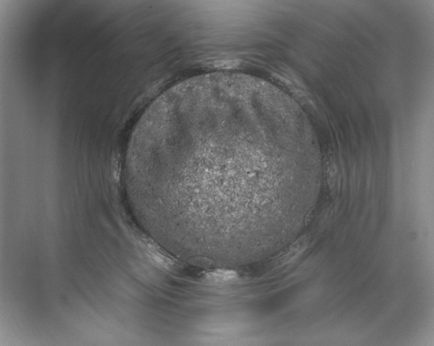 X0000071760374200607220016