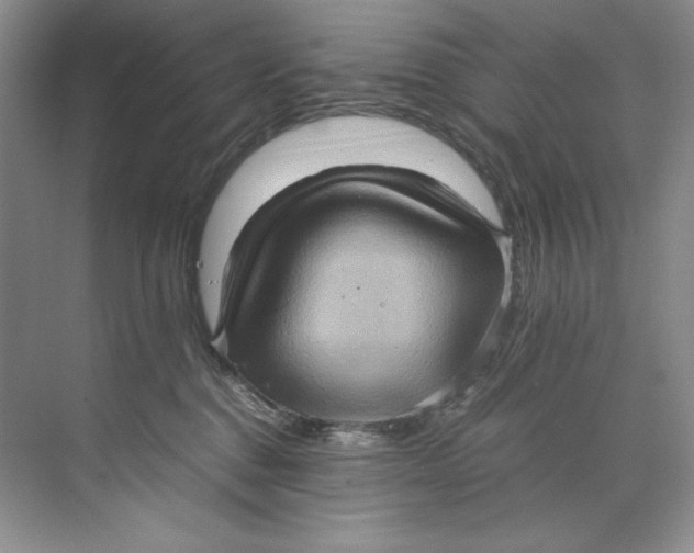 X0000071760376200607220016