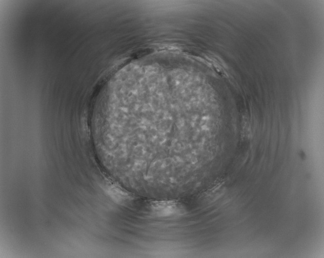 X0000071760377200607220016