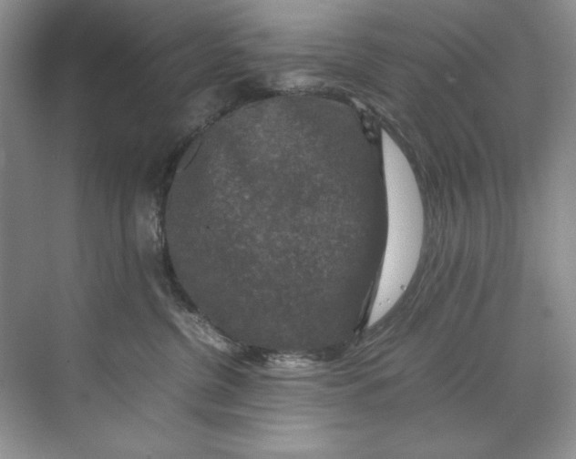 X0000071760380200607220016