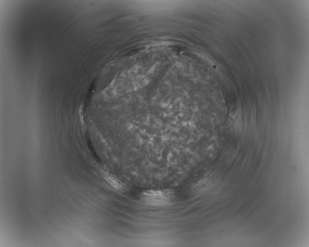 X0000071760381200607220016