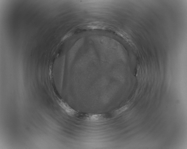 X0000071760382200607220016