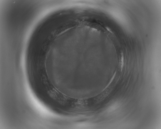 X0000071760383200607220016