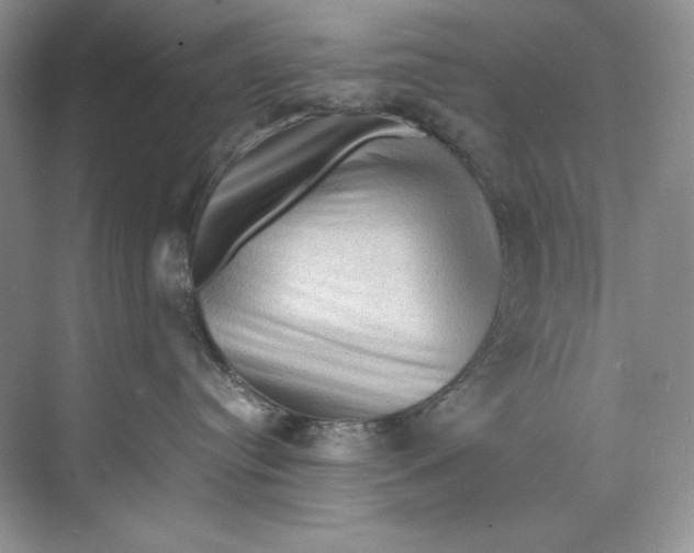 X0000071760384200607220016