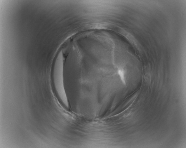 X0000071760386200607220015