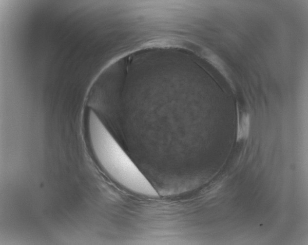 X0000071760387200607220015