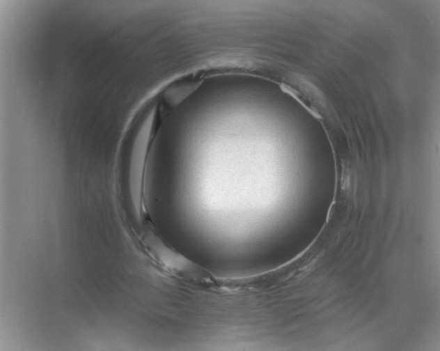 X0000071760388200607220015