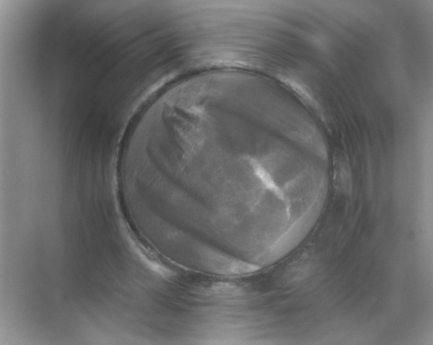 X0000071760390200607220015