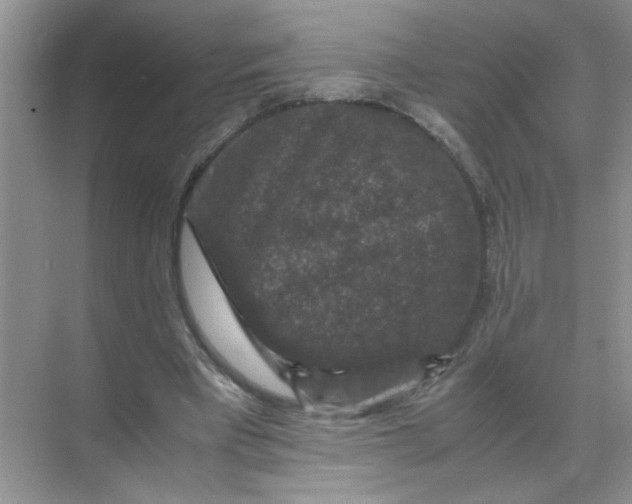 X0000071760393200607220015