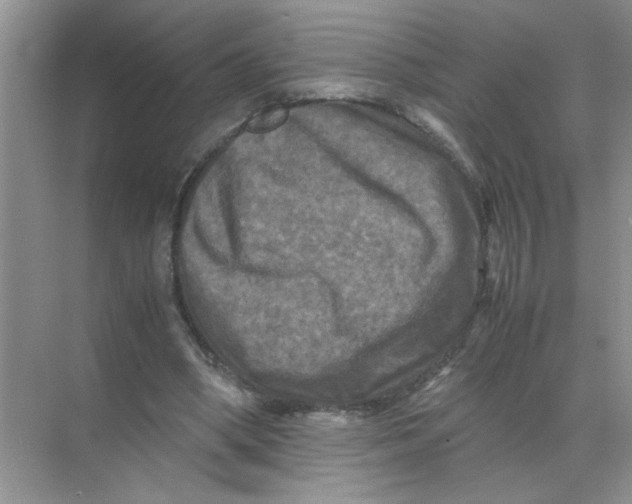 X0000071760394200607220015