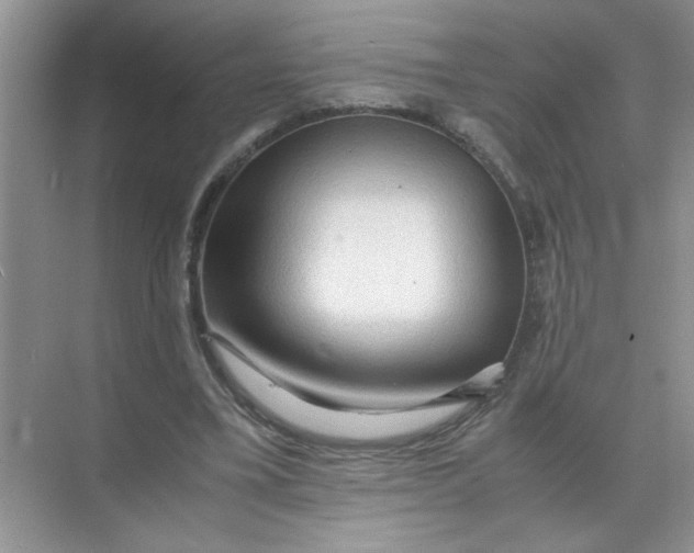 X0000071760395200607220015