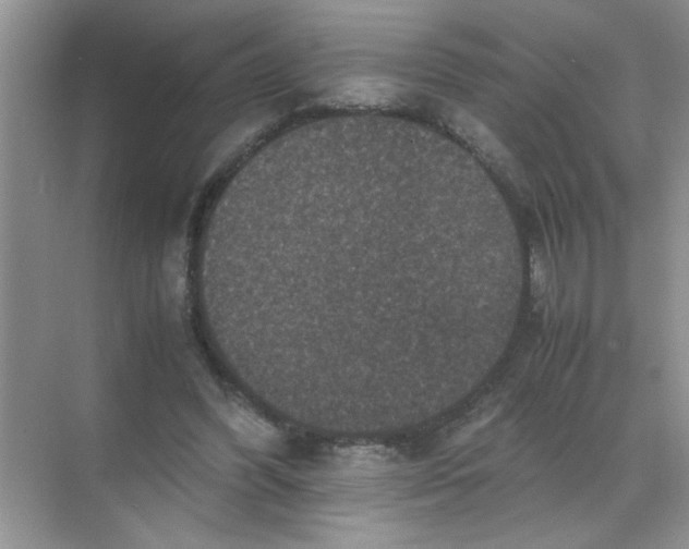 X0000071760396200607220015