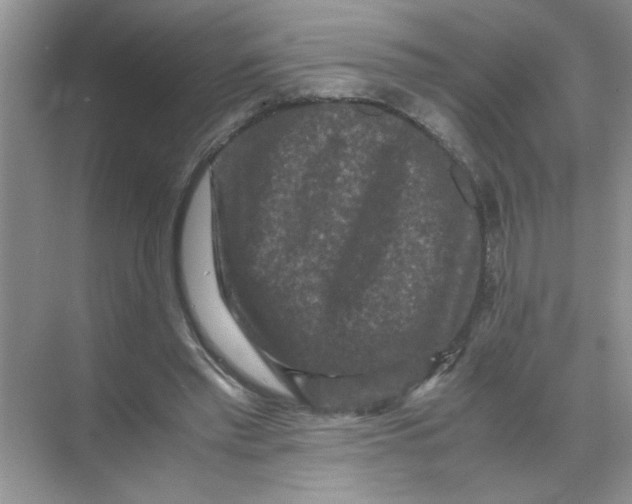 X0000071760397200607220015