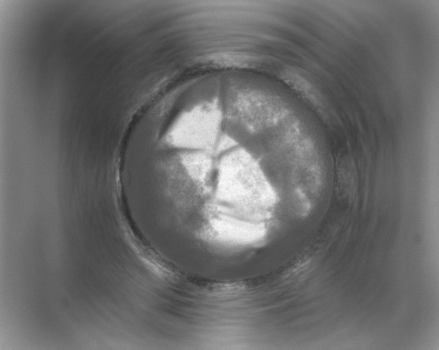 X0000071760398200607220015