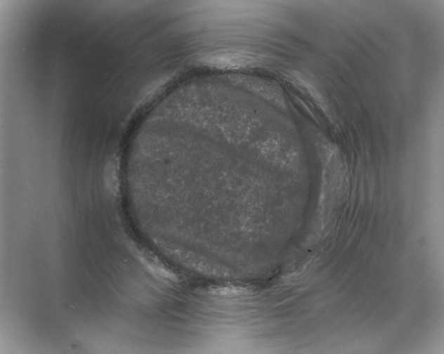 X0000071760400200607220015