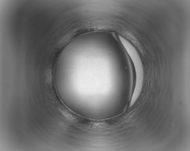 X0000071760401200607220015