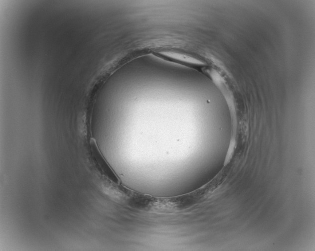 X0000071760403200607220015