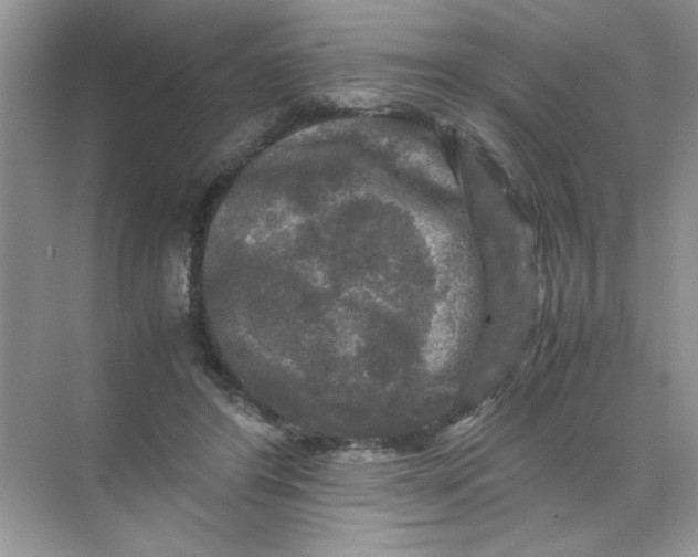 X0000071760404200607220015