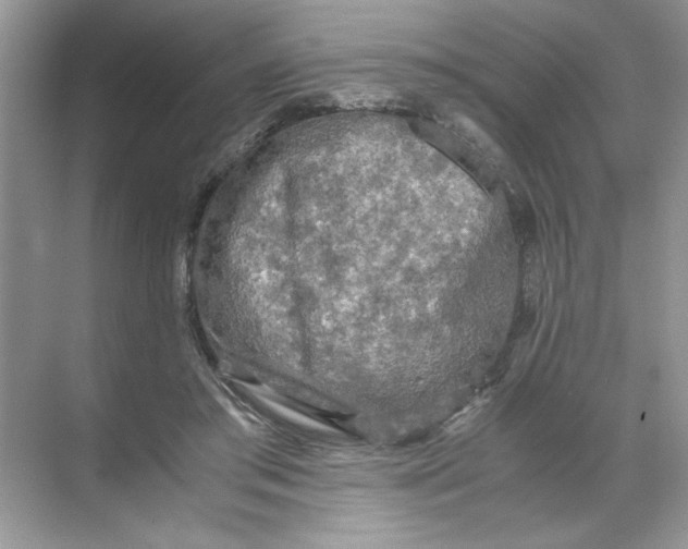 X0000071760405200607220015