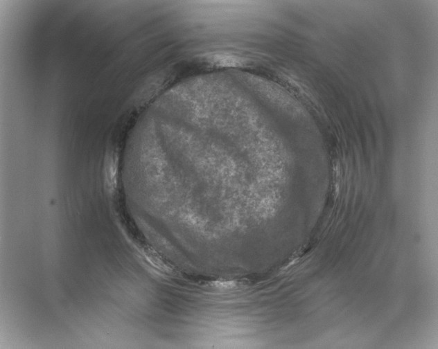 X0000071760406200607220015